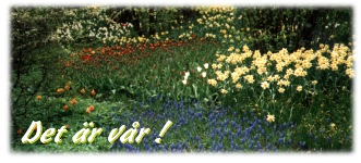 spring2.jpg (30393 bytes)